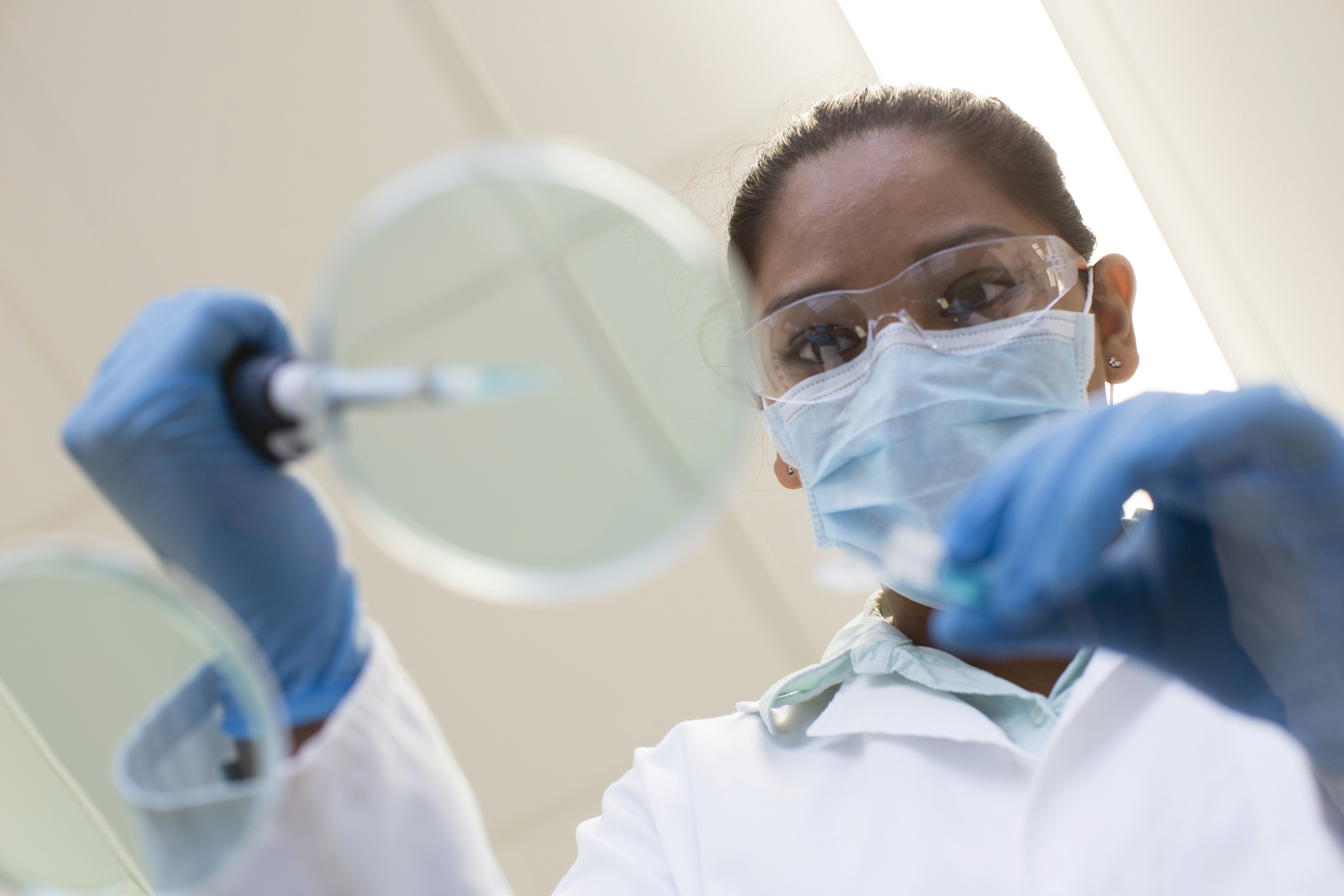 579978437 Mixed race scientist pipetting into sample in laboratory