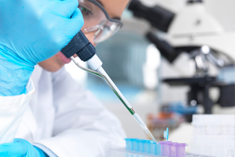 lab